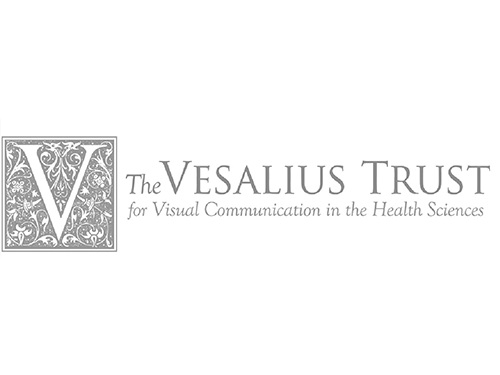 Vesalius Trust